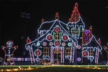 Holiday lights