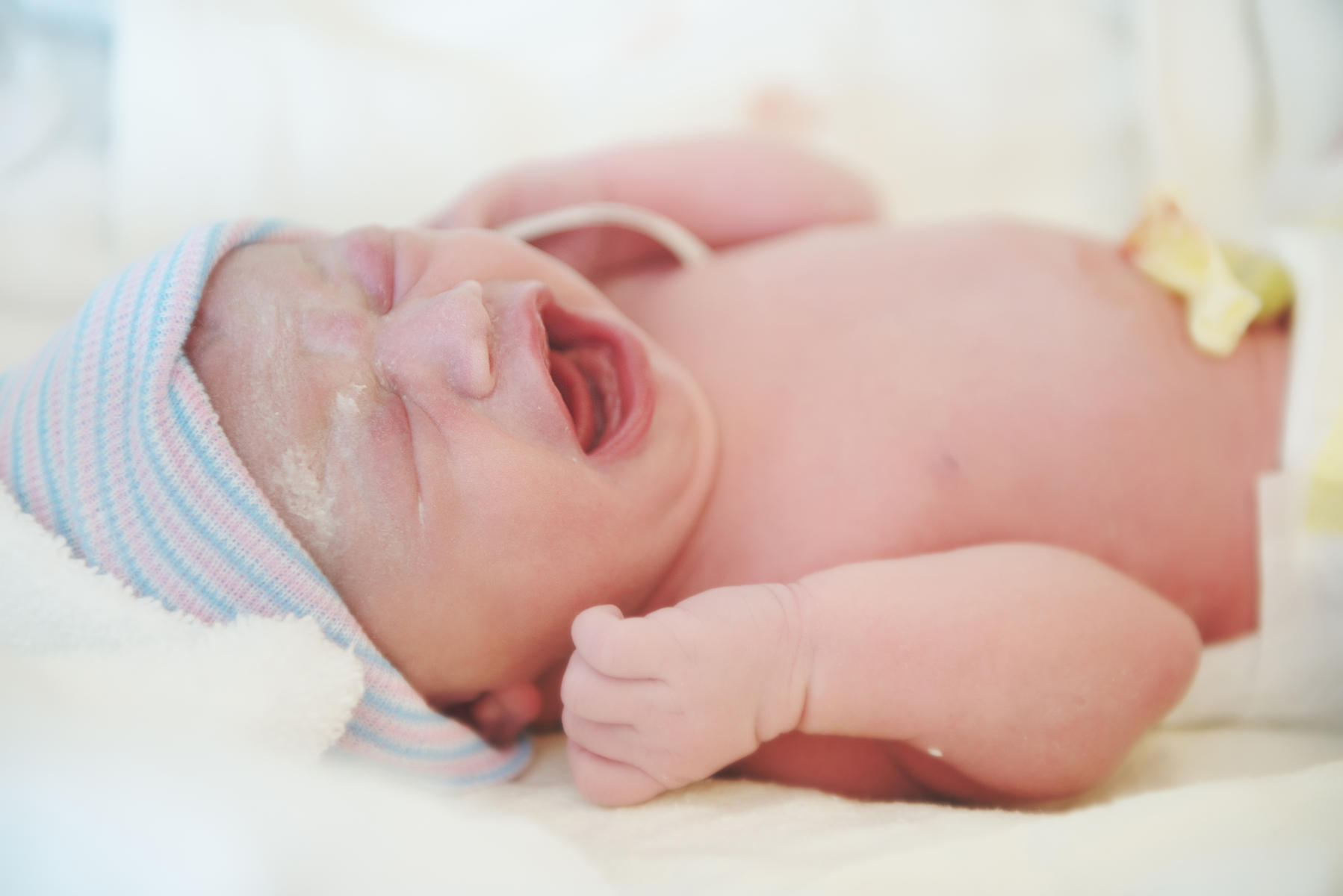 What Is Vernix In The Ear Canal