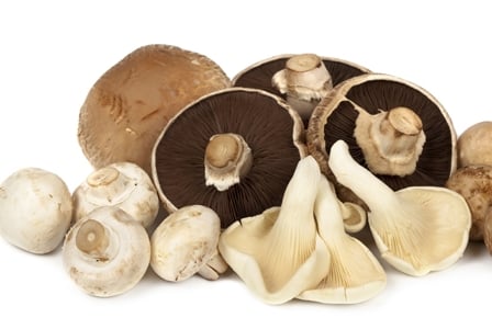 We\'re Mad for Mushrooms on Mushroom Day
