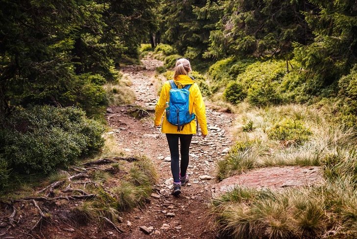 Solo hiker walking on trekking trail in forest. Woman with yellow jacket and backpack hiking in woodland. Sports active lifestyle