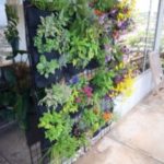 Florafelt-10-Vertical-Garden-Planter-Pockets-Herbs-and-Flowers-by-Chris-Bribach-of-Plants-On-Walls-DSC_7540-200×300.jpg