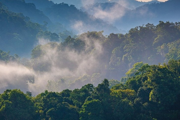 Preserving Nature’s Pharmacy
